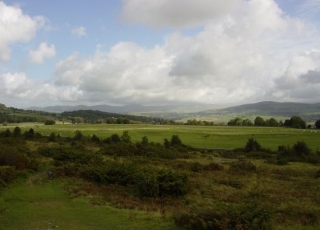  Lyth Valley